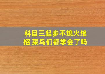 科目三起步不熄火绝招 菜鸟们都学会了吗